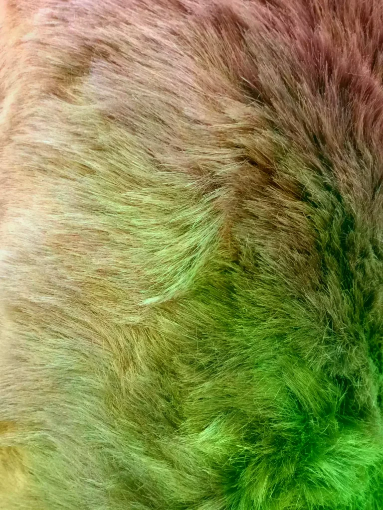 مستلزمات الملابس الجاهزه