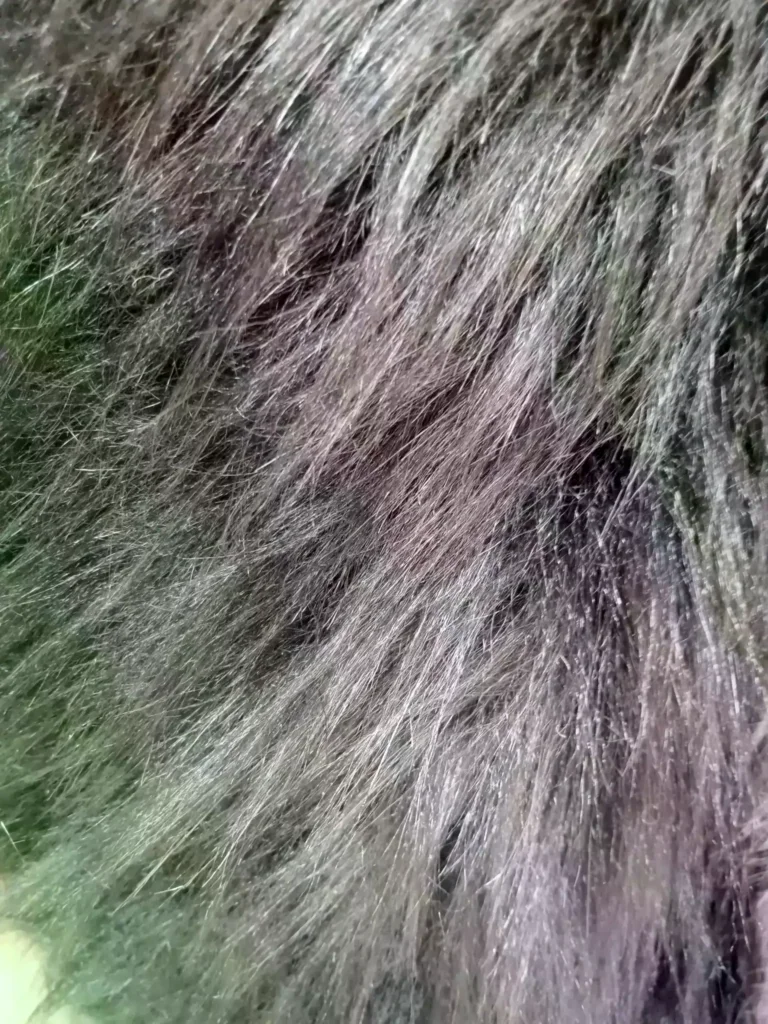 مستلزمات الملابس الجاهزه