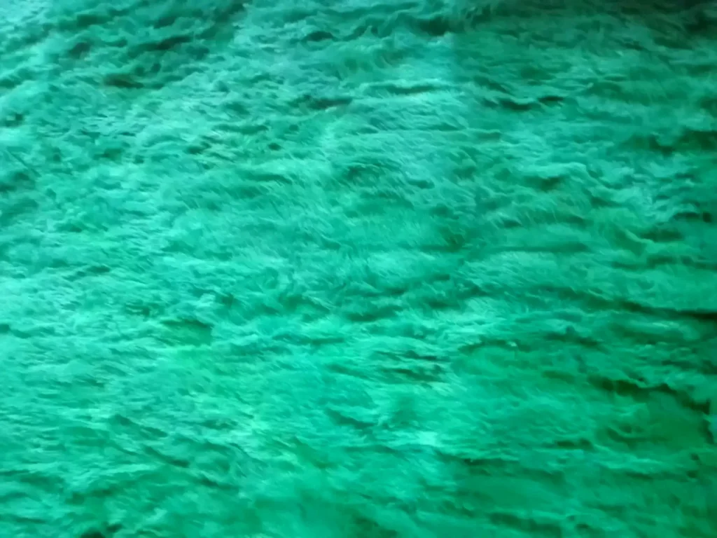 شركة استيراد مستلزمات الملابس